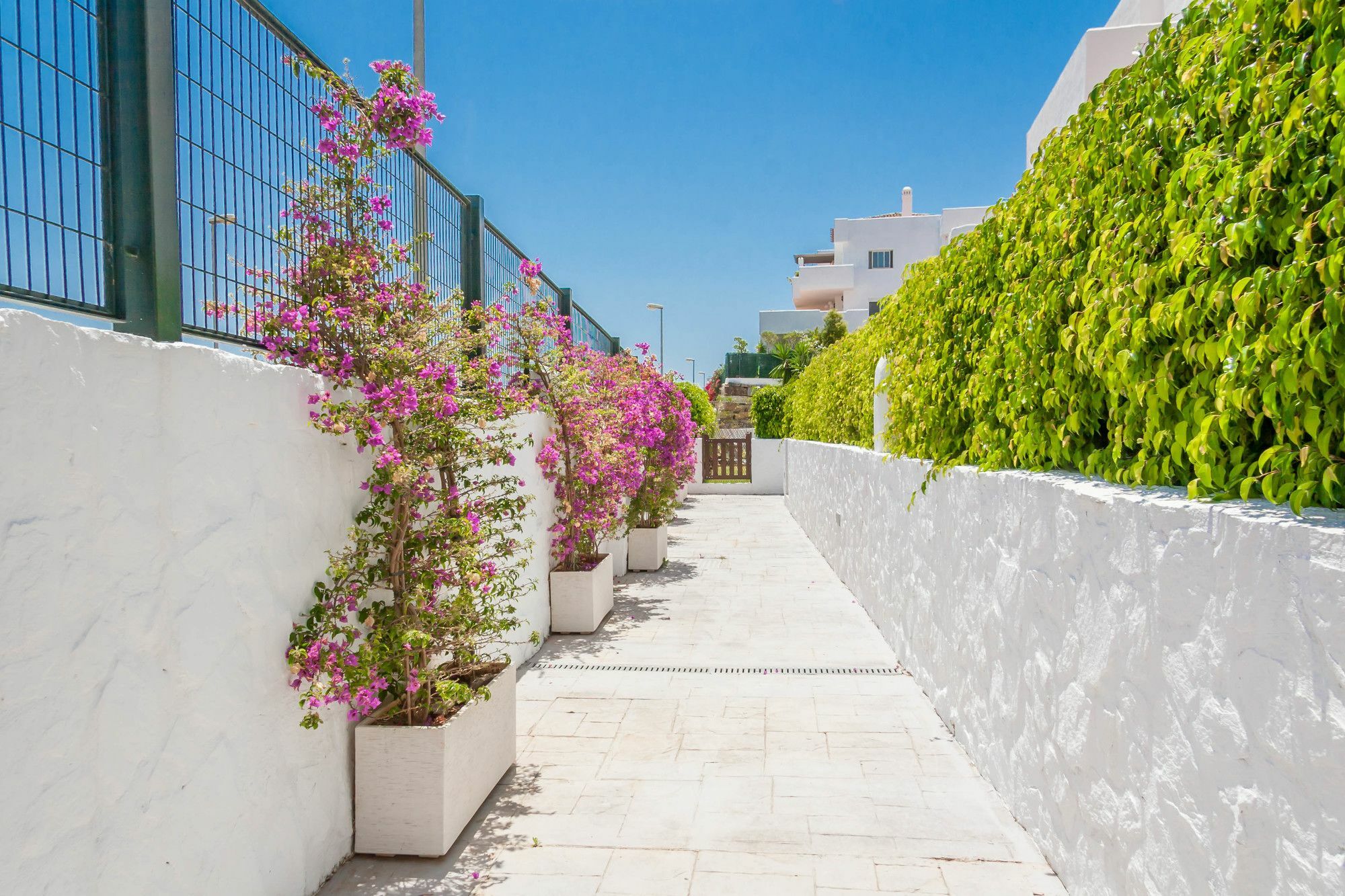 Golf Hill Estepona Canovas Dış mekan fotoğraf